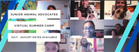 Junior Animal Advocates Virtual Summer Camp