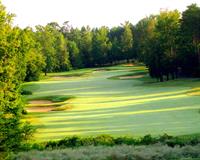 Stafford Education Foundation Tee Off for EDUCATION