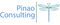 Pinao Consulting LLC