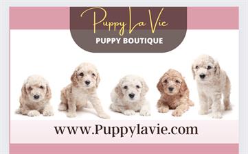 Puppy La Vie, LLC