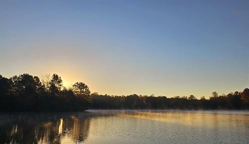 Lake view