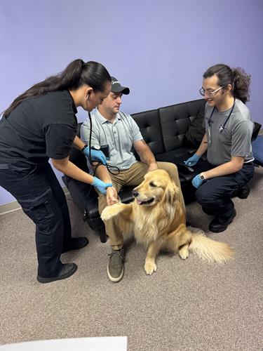 EMT Summer Course Medical Assessments EMT Summer Course Medical Assessments