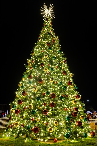 Riverfront Park Holiday Tree