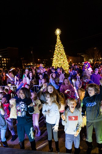 Annual Tree Lighting