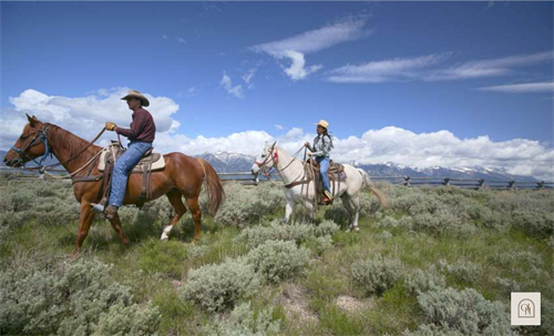 Immersive experiences that connect travelers to landscapes and local culture.