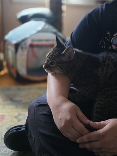 Compassionate, low-stress veterinary care in the comfort of home.