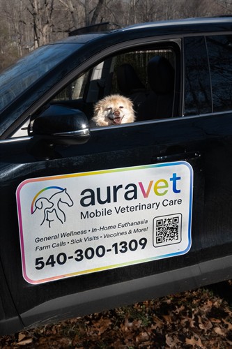 Sadie is ready to start seeing appointments!