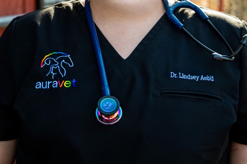 Compassionate Mobile Veterinary Care