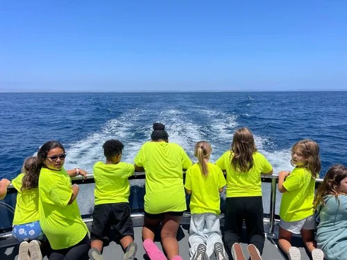 Gallery Image back_of_boat_whale_watching.jpg Gallery Image back_of_boat_whale_watching.jpg