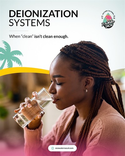 Gallery Image ec.jpg