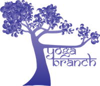 Yoga Branch Studio