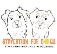Staycation for Dogs