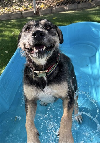 Steven can't wait to play with friends in the pool.