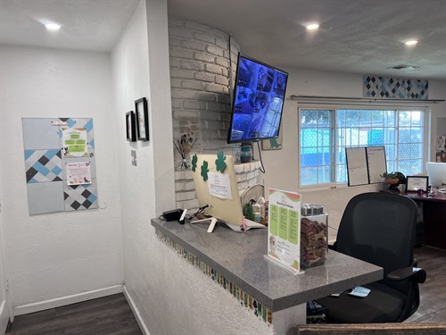 Reception Office