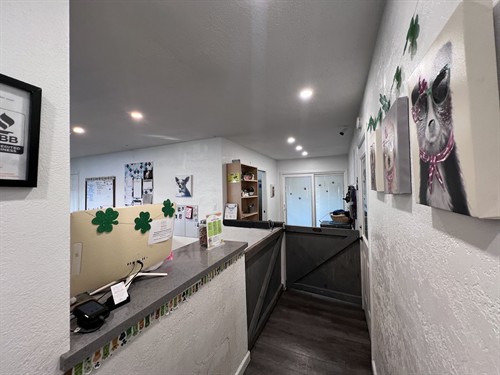 Reception Office
