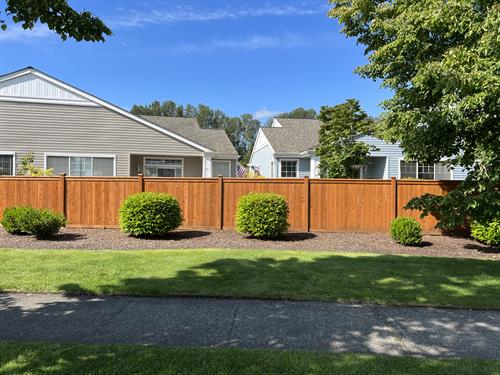 Fence Staining