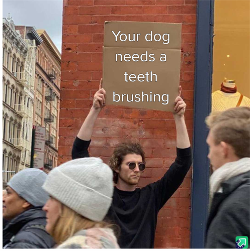 Gallery Image C59gvk3_-_Imgur.png