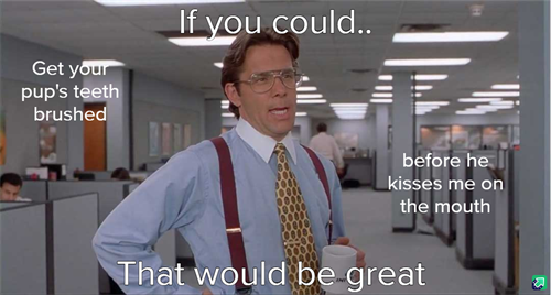 Gallery Image PGsKyvF_-_Imgur.png