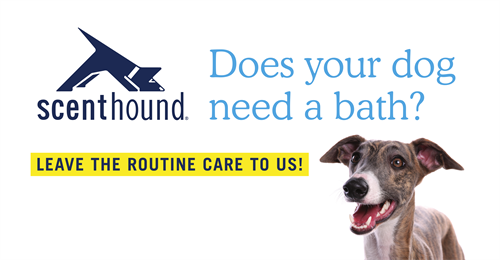 Gallery Image content.png