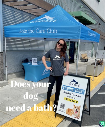 Gallery Image zuF7Dpy_-_Imgur.jpg