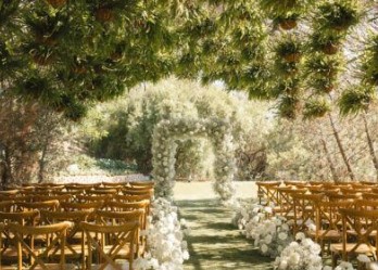 Gallery Image Screenshot_2026-04-02_133105.jpg