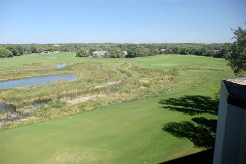 View from Darabi Dermatology