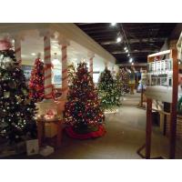 9th Annual Christmas Tree Walk
