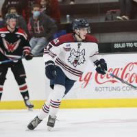 Fairbanks Ice Dogs vs. Steel (Friday)