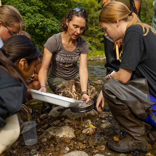 Students get hands on experiences in every major, including insect research at Camden State Park for students in the biology program 