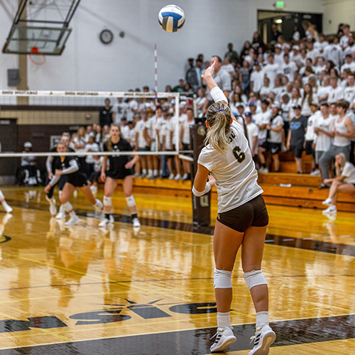 SMSU Volleyball is one of our NCAA Division II athletic teams