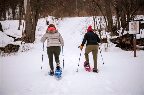 Gallery Image ladies_Snow_Showing_up_the_hill.jpg