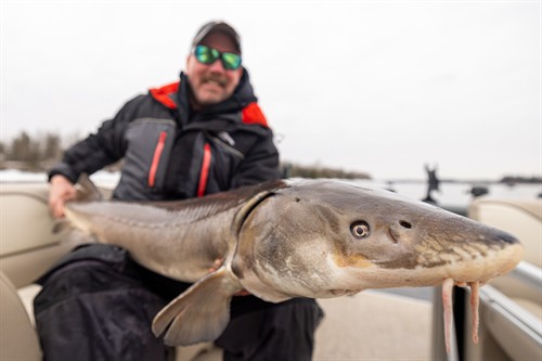 Gallery Image bret_-_sturgeon_(1).jpg