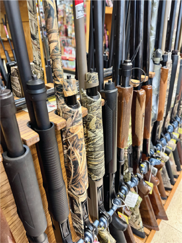 Gallery Image Asset_8.png Gallery Image Asset_8.png
