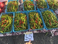 Marshall Farmers Market - Saturday Market
