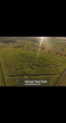 This was on of our corn mazes during our Fall Festival.