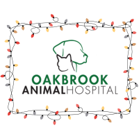 Oakbrook Animal Hospital Annual Holiday Open House