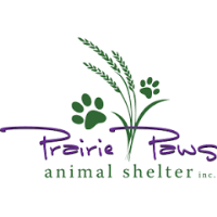 Paws & Paddles with Prairie Paws Animal Shelter