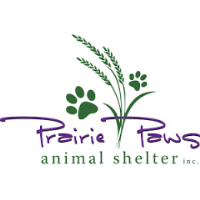 2025 Bow Meow Gala for Prairie Paws Animal Shelter