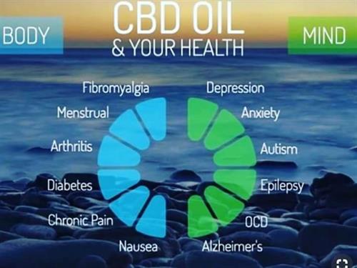 CBD Oil and Your Health CBD Oil and Your Health