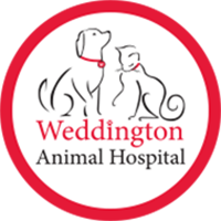 Weddington Animal Hospital Weddington Animal Hospital