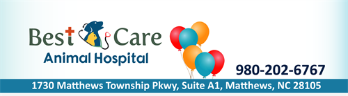 Bestcare Animal hospital Bestcare Animal hospital