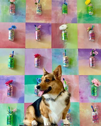 Gallery Image winston.jpg Gallery Image winston.jpg