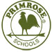 Primrose School of Apex Spring Fling
