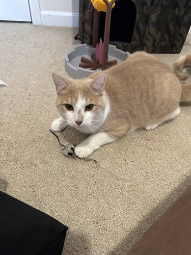 Gallery Image IMG_3713.jpeg