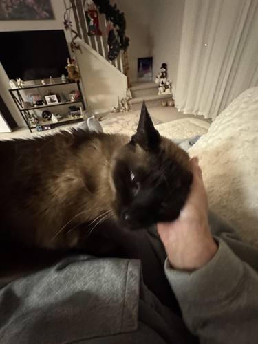 Gallery Image IMG_3717.jpeg