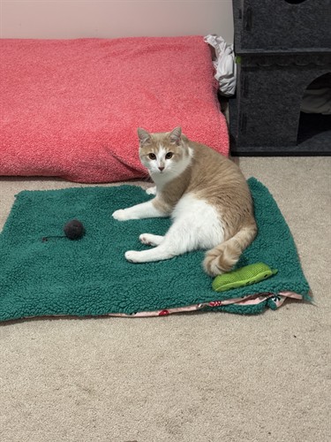 Gallery Image IMG_3724.jpeg