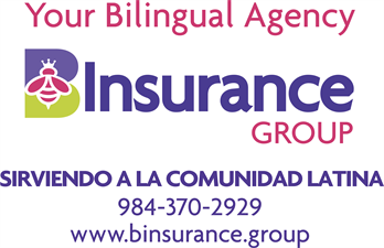 BInsurance Group