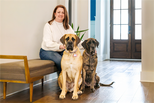 Gallery Image bench.png