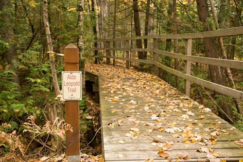 During your stay, step outside the cabin door to explore privately maintained Brickyard Creek trails covering over 70-acres of beautiful Boreal forest. During your stay, step outside the cabin door to explore privately maintained Brickyard Creek trails covering over 70-acres of beautiful Boreal forest.