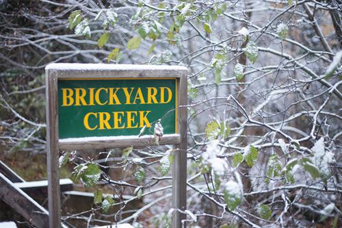 YEAR-ROUND RESERVATIONS — Available in every season, 7 days a week, 365 days a year! YEAR-ROUND RESERVATIONS — Available in every season, 7 days a week, 365 days a year!